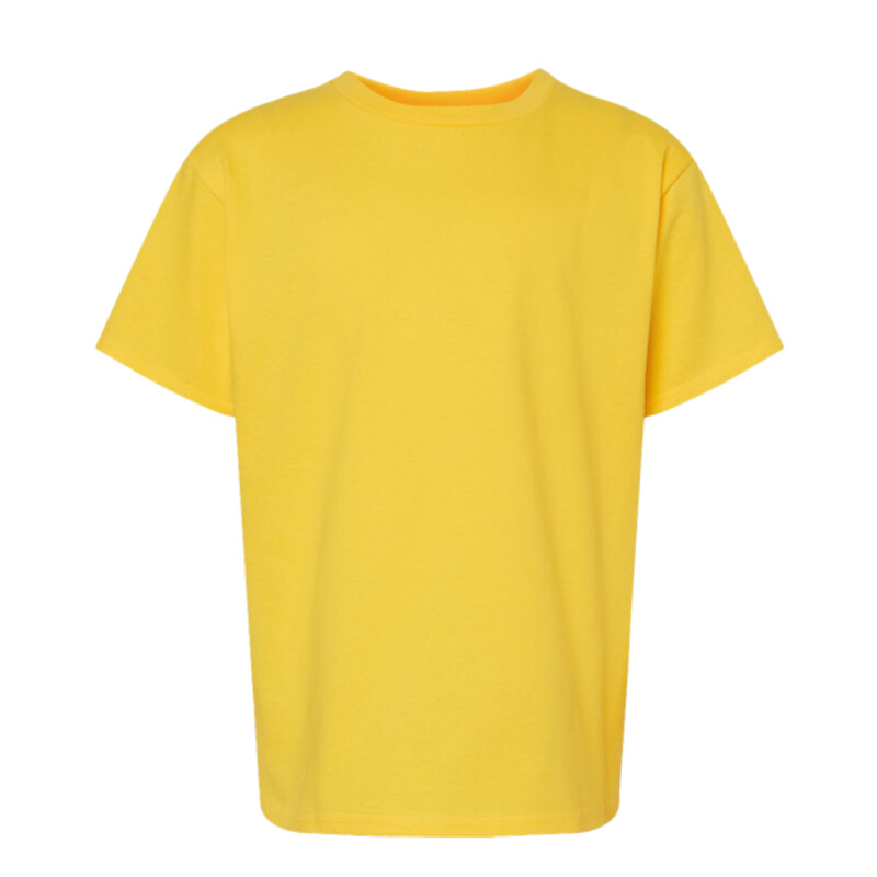 Softstyle Midweight Youth T-Shirt Thumbnail