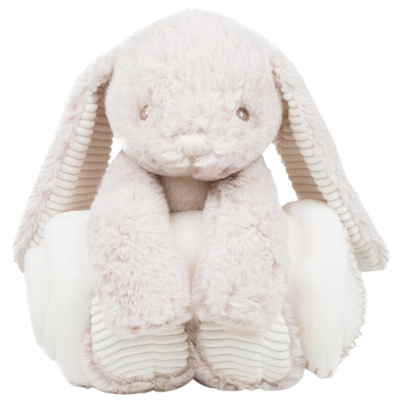 Rabbit and blanket Thumbnail